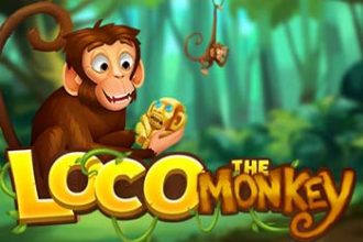 Loco the Monkey